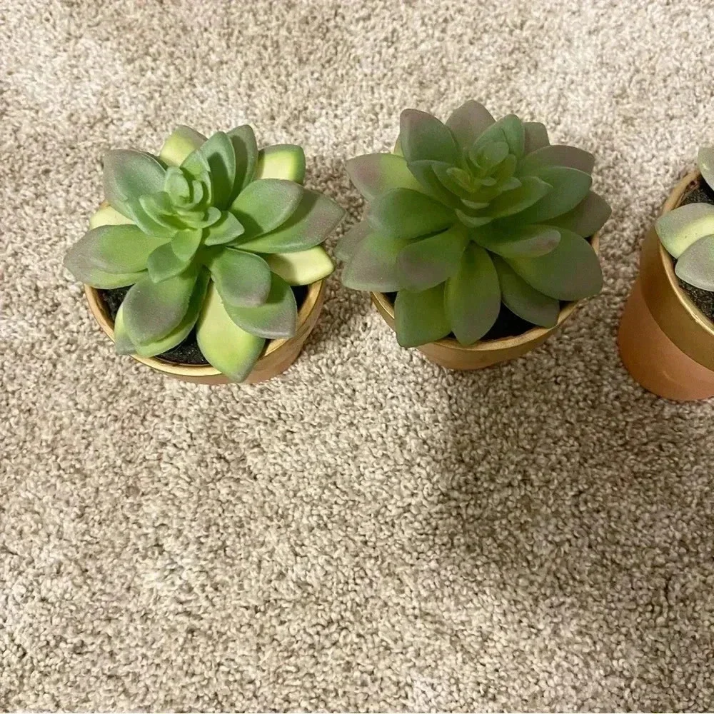 Set of 3 terracotta faux succulents new
